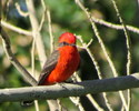 photo thumbnail #3