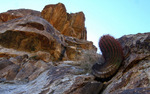 photo thumbnail #4