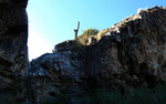 photo thumbnail #11
