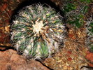 photo thumbnail #2
