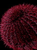 photo thumbnail #7