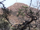 photo thumbnail #10
