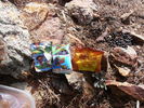 photo thumbnail #11