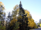 photo thumbnail #8