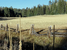 photo thumbnail #10