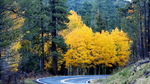 photo thumbnail #12
