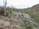 photo thumbnail #4