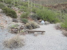 photo thumbnail #5