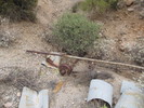 photo thumbnail #6