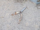 photo thumbnail #11