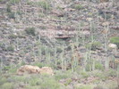 photo thumbnail #13