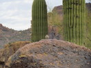 photo thumbnail #8