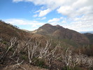 photo thumbnail #5