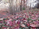 photo thumbnail #10