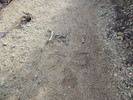 photo thumbnail #11