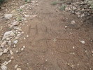 photo thumbnail #13