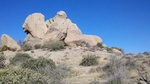 photo thumbnail #2