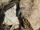 photo thumbnail #11