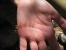photo thumbnail #11