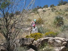 photo thumbnail #1