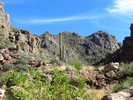 photo thumbnail #2