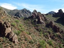 photo thumbnail #8