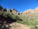 photo thumbnail #13