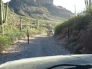 photo thumbnail #14
