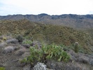photo thumbnail #6