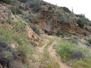 photo thumbnail #11