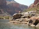 photo thumbnail #13