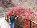 photo thumbnail #11