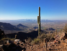 photo thumbnail #5