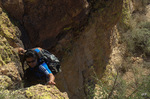 photo thumbnail #6