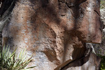 photo thumbnail #13