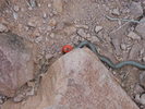 photo thumbnail #7
