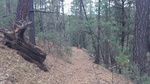photo thumbnail #1