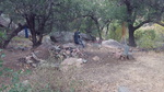 photo thumbnail #7