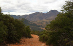 photo thumbnail #7