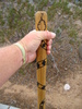 photo thumbnail #12