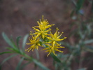photo thumbnail #15