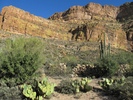 photo thumbnail #8