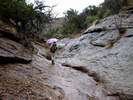 photo thumbnail #9