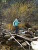 photo thumbnail #3