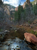 photo thumbnail #7