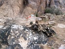 photo of comment