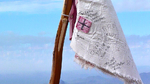 photo thumbnail #14