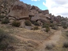 photo thumbnail #12