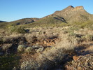 photo thumbnail #4