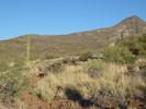 photo thumbnail #7